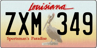 LA license plate ZXM349