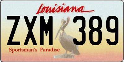 LA license plate ZXM389