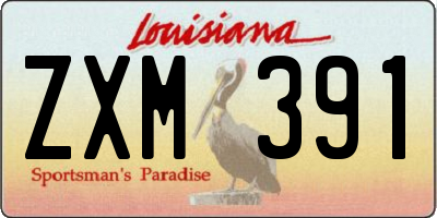 LA license plate ZXM391