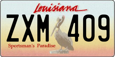LA license plate ZXM409