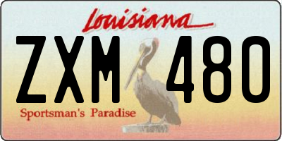 LA license plate ZXM480