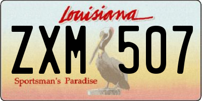 LA license plate ZXM507