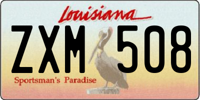 LA license plate ZXM508