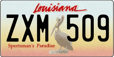 LA license plate ZXM509