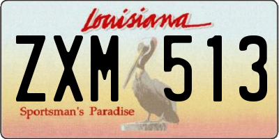 LA license plate ZXM513