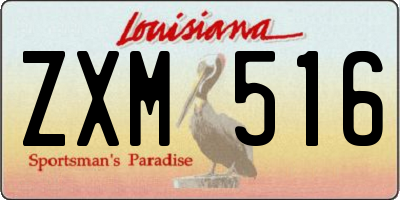 LA license plate ZXM516