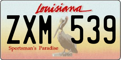 LA license plate ZXM539