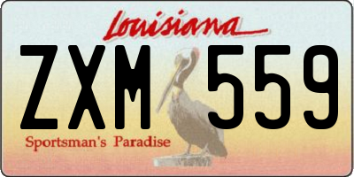 LA license plate ZXM559