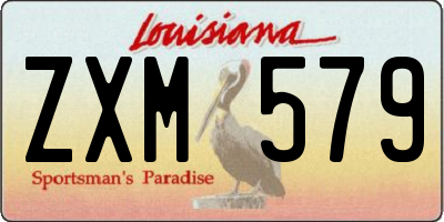 LA license plate ZXM579