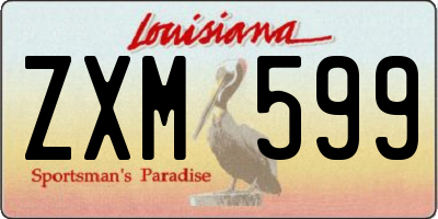 LA license plate ZXM599
