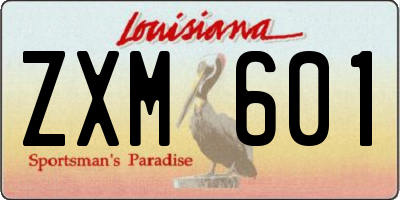 LA license plate ZXM601