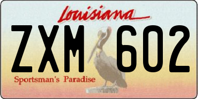LA license plate ZXM602