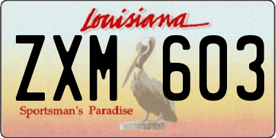 LA license plate ZXM603