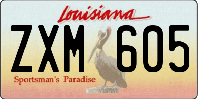 LA license plate ZXM605