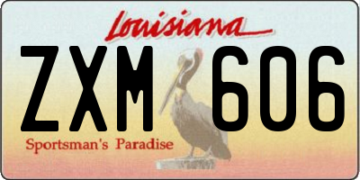 LA license plate ZXM606