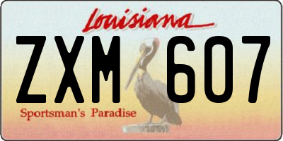 LA license plate ZXM607