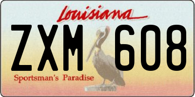 LA license plate ZXM608