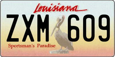 LA license plate ZXM609