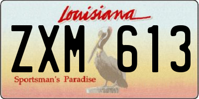 LA license plate ZXM613