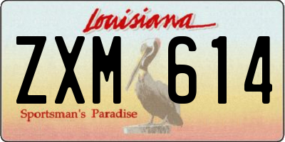 LA license plate ZXM614