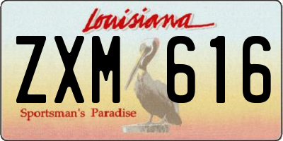 LA license plate ZXM616