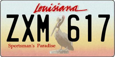 LA license plate ZXM617