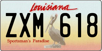 LA license plate ZXM618