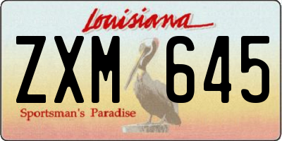 LA license plate ZXM645