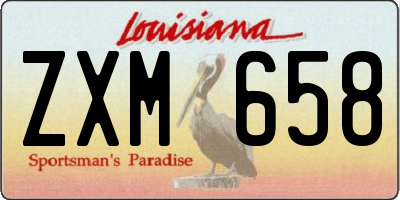 LA license plate ZXM658