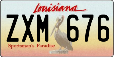 LA license plate ZXM676