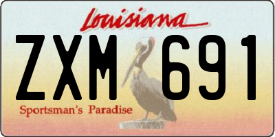 LA license plate ZXM691