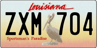 LA license plate ZXM704