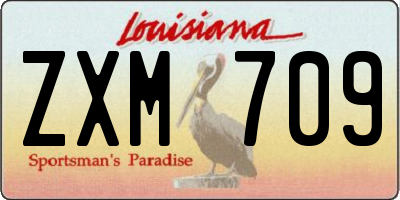 LA license plate ZXM709