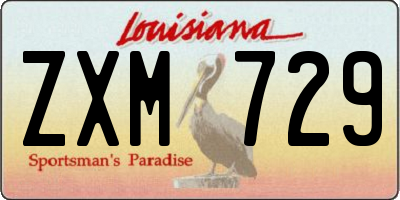 LA license plate ZXM729