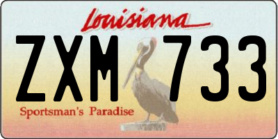 LA license plate ZXM733