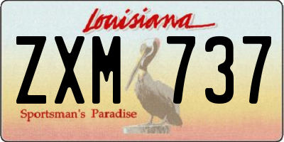LA license plate ZXM737