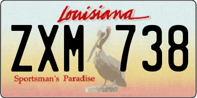 LA license plate ZXM738