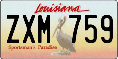 LA license plate ZXM759