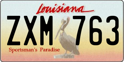 LA license plate ZXM763