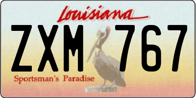 LA license plate ZXM767