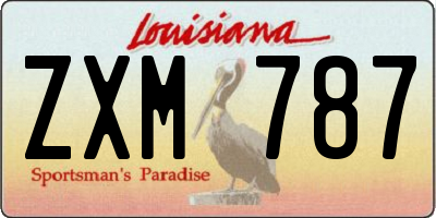 LA license plate ZXM787