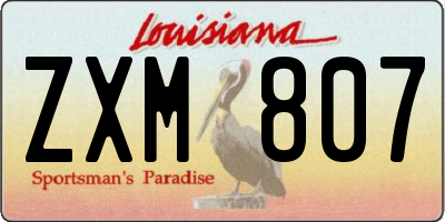 LA license plate ZXM807