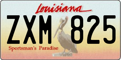 LA license plate ZXM825
