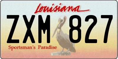 LA license plate ZXM827