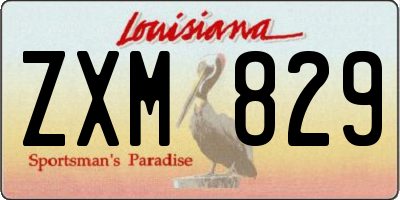 LA license plate ZXM829