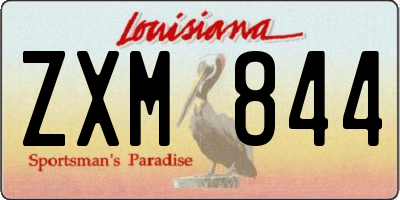 LA license plate ZXM844