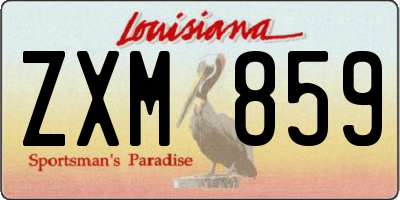 LA license plate ZXM859