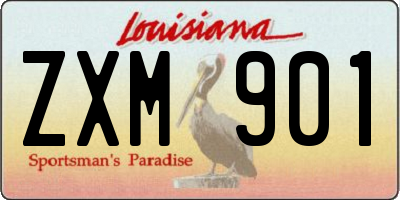 LA license plate ZXM901