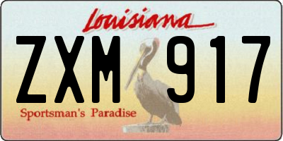 LA license plate ZXM917
