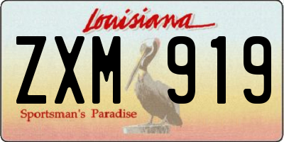 LA license plate ZXM919